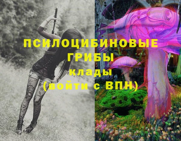 спиды Абаза