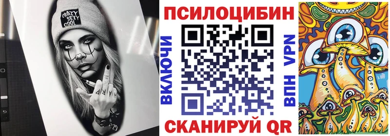 Псилоцибиновые грибы Psilocybine cubensis  сколько стоит  ОМГ ОМГ ONION  Шимановск 